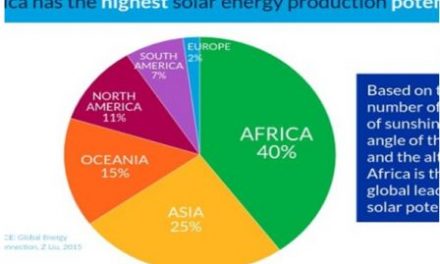 African Energy Stakeholders Plan Investment Partnerships