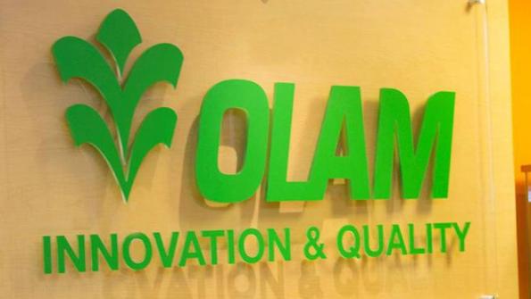 Olam