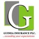 Guinea Insurance Plc