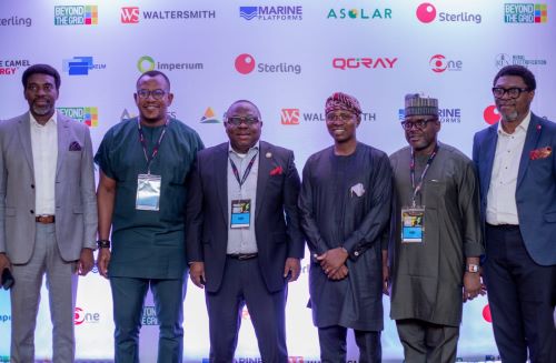 Sterling Bank Champions Collective Action to Accelerate Nigeria’s Renewable Energy Transition