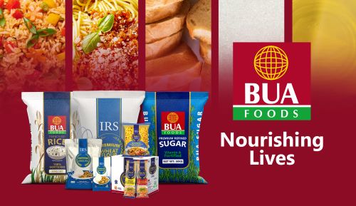 BUA Foods Posts ₦1.77tn Revenue, Signals Confidence with ₦28 Dividend as Payout Jumps 115%