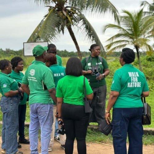 Lagos State, NCF Plan 20th Walk for Nature October 17 Lagos State, NCF Plan 20th Walk for Nature October 17