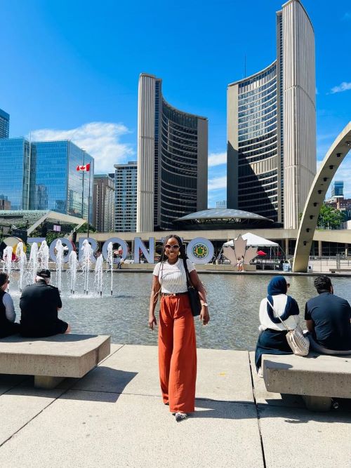 How Nigerians Abroad Can Grow Wealth at Home How Nigerians Abroad Can Grow Wealth at Home